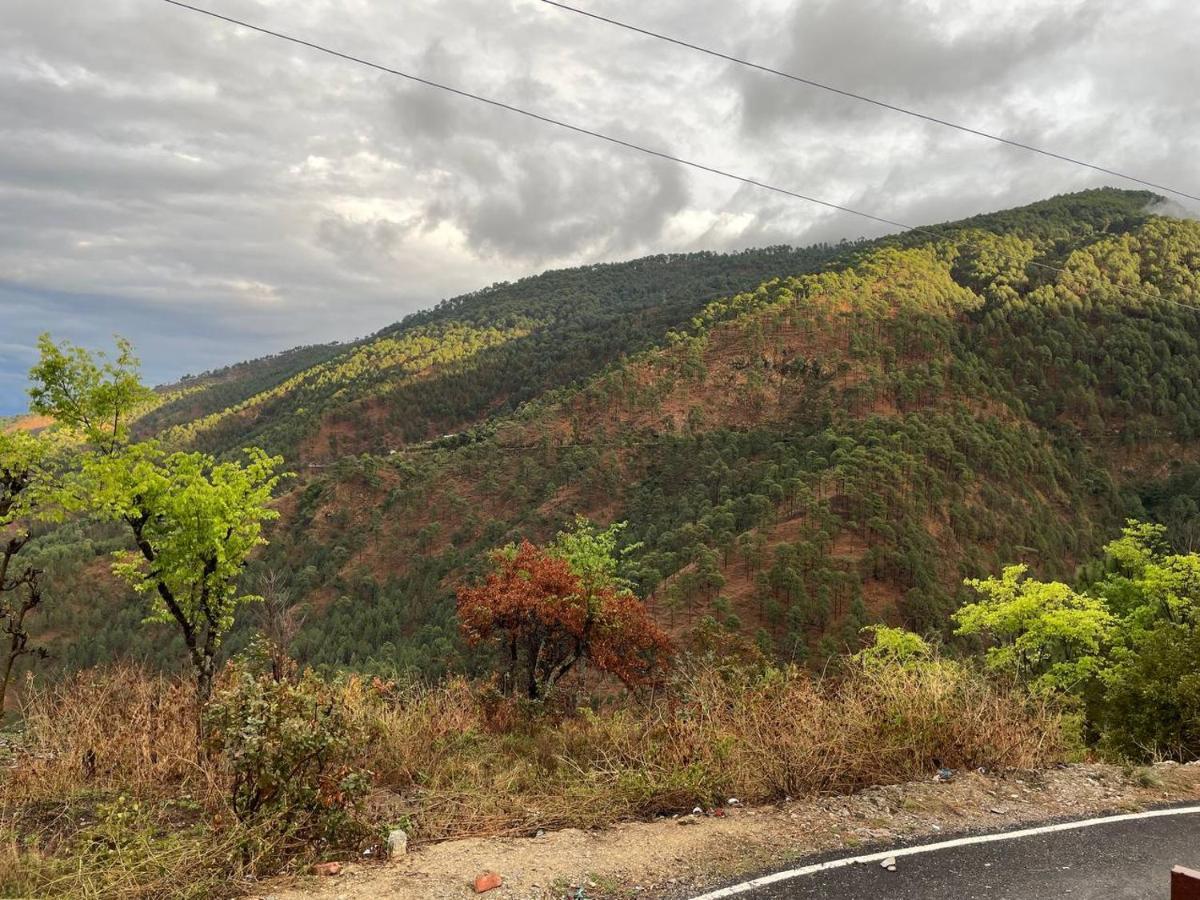 Pahaadi Dhun Homestay Chamba  Zewnętrze zdjęcie